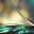 Profile picture for user NinaL